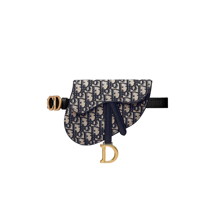 dior waist bag